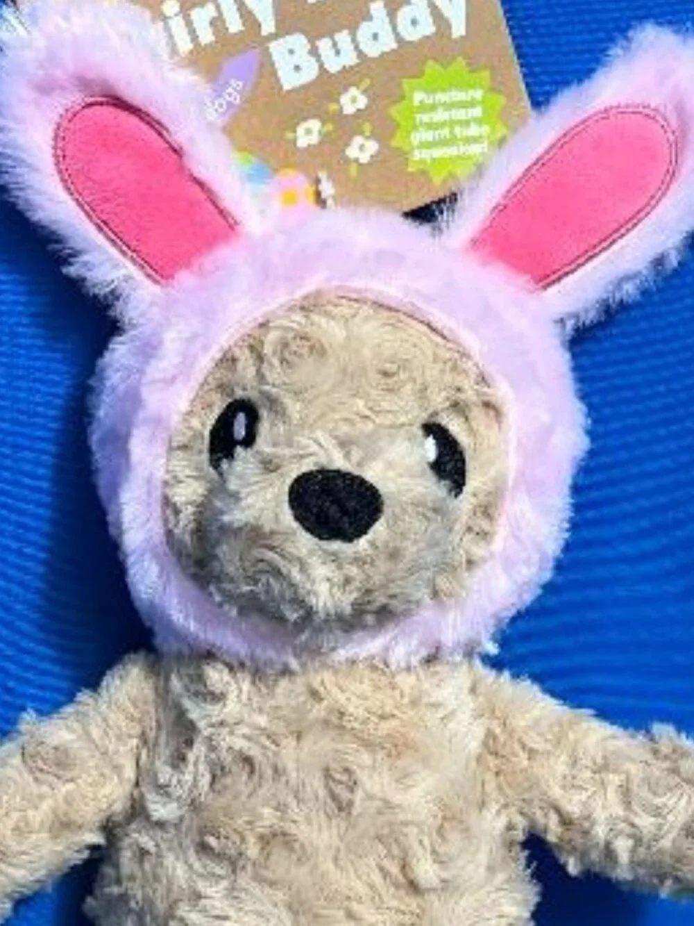 NEW  FUN & ADORABLE SWIRLY BEAR BUDDY DOG TOY WITH CRINKLE BUNNY EARS & SQUEAKER